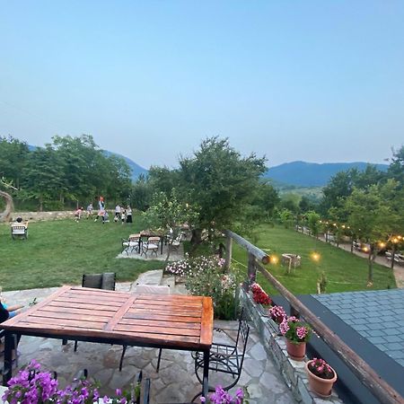 Vila Disha Тирана Экстерьер фото