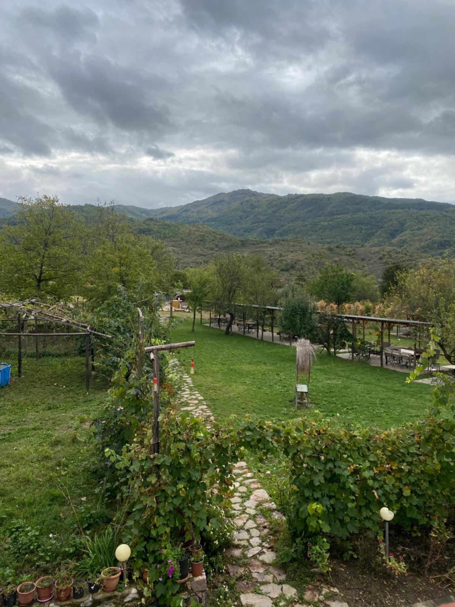 Vila Disha Тирана Экстерьер фото
