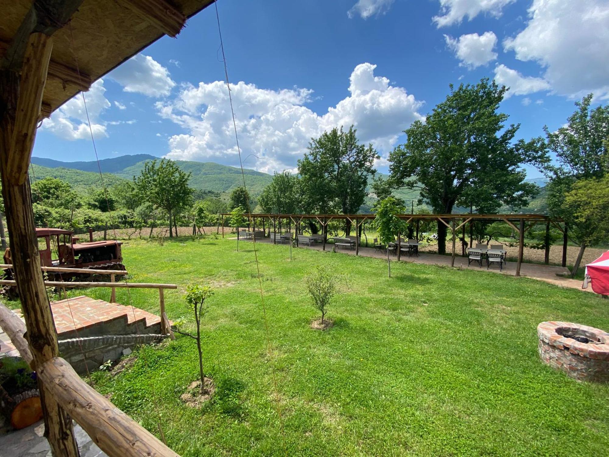 Vila Disha Тирана Экстерьер фото