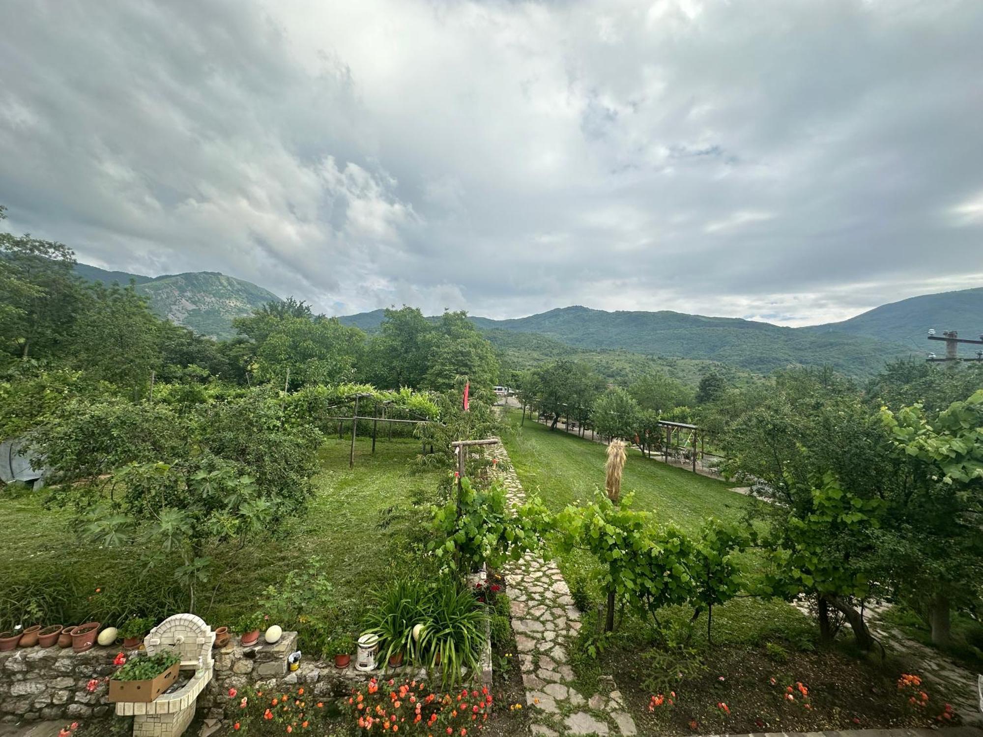 Vila Disha Тирана Экстерьер фото