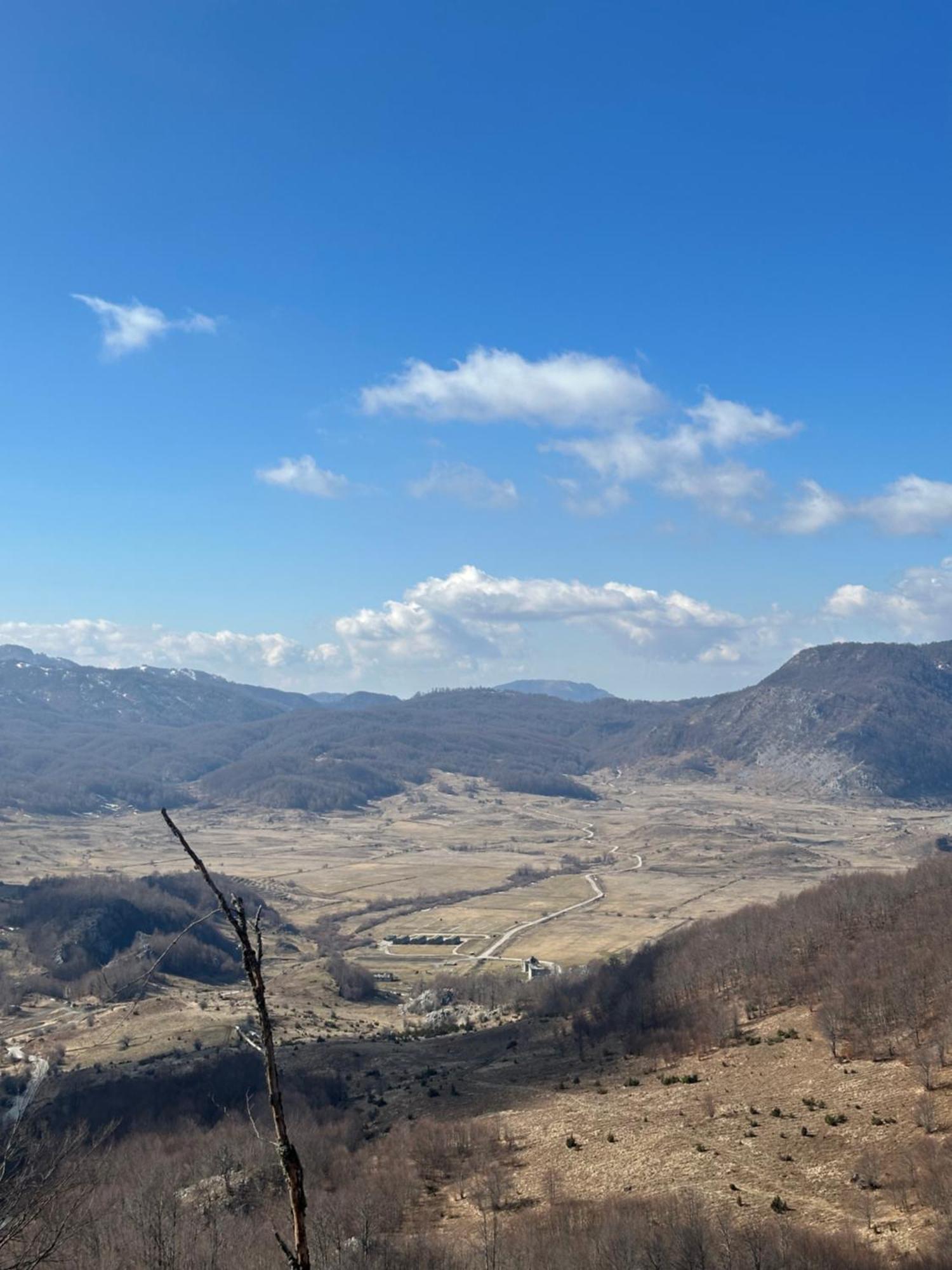 Vila Disha Тирана Экстерьер фото