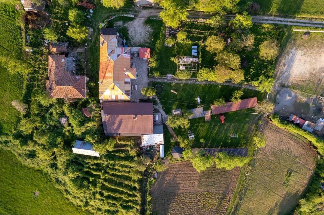 Vila Disha Тирана Экстерьер фото