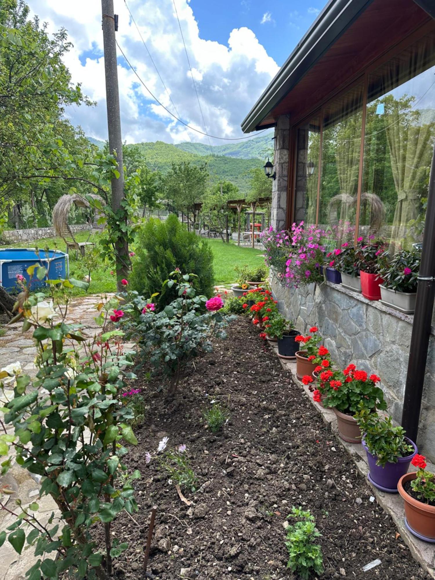 Vila Disha Тирана Экстерьер фото
